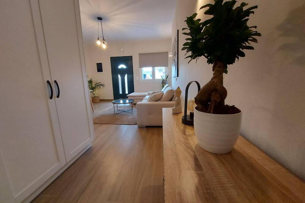 Apartment Kentia Fine Living